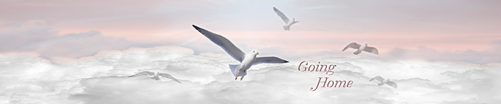 P FC 102 PK Going Home Pink Clouds FULL COUCH